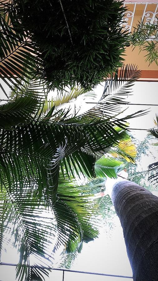 Hotel Tierra Del Sol Oaxaca Εξωτερικό φωτογραφία