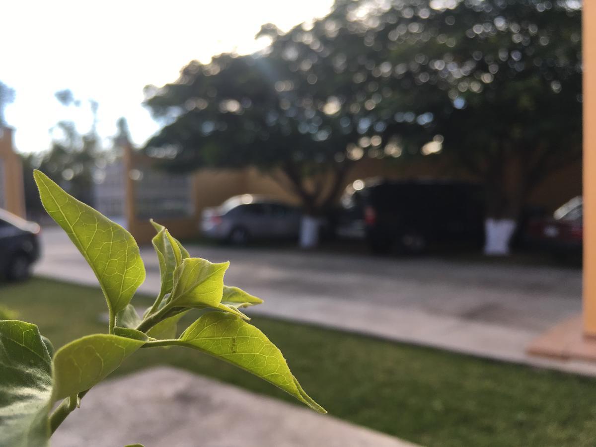 Hotel Tierra Del Sol Oaxaca Εξωτερικό φωτογραφία